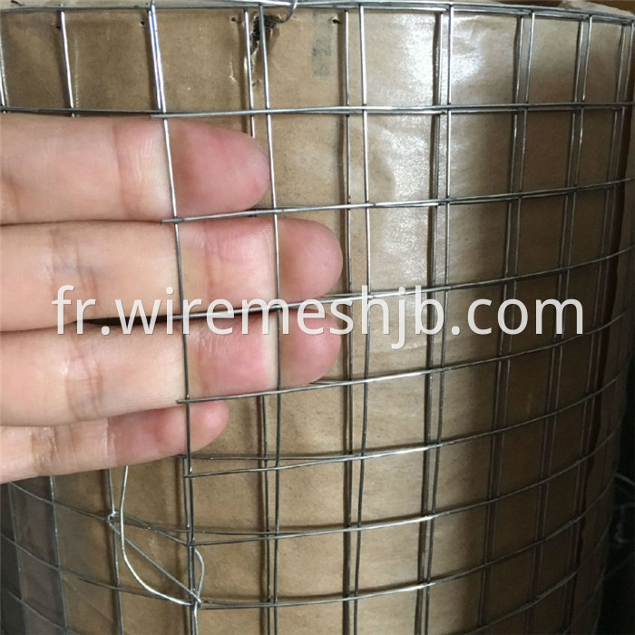 Hot-dip Galvanized Welded Mesh